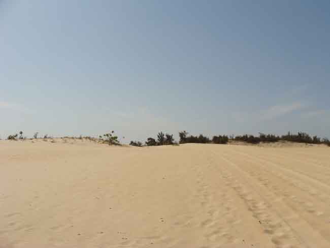 dunes de sable