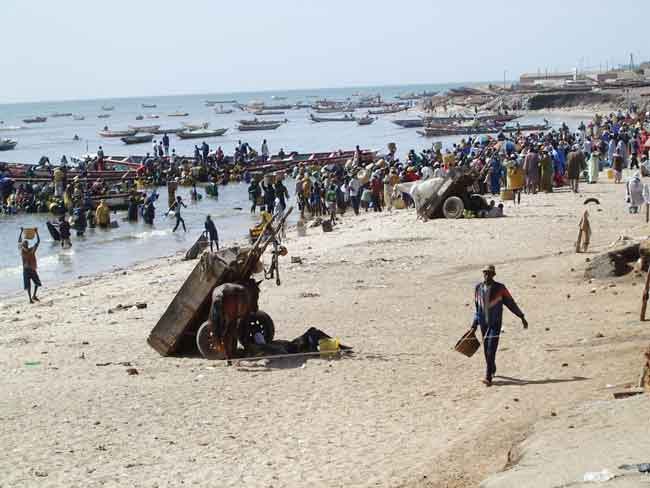 l'arrivée des pêcheurs