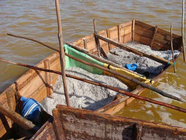 pirogue de sel