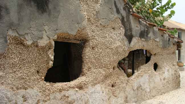 ruine de coquillages