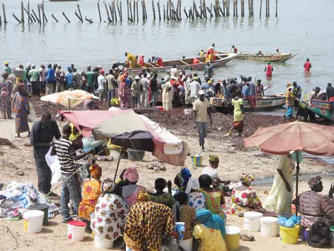 vendeuses de poissons