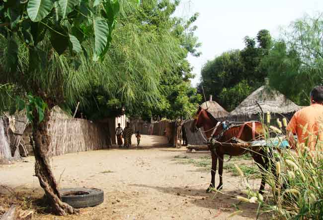 le village des peuhls